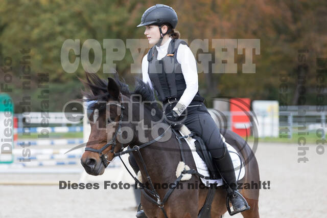 IGV Lehrgang der Sieger der Cups mit Frank Ostholt