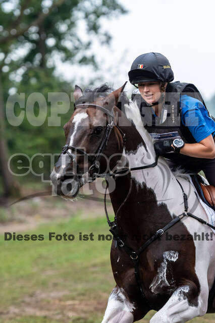 De Peelbergen (August 2020)