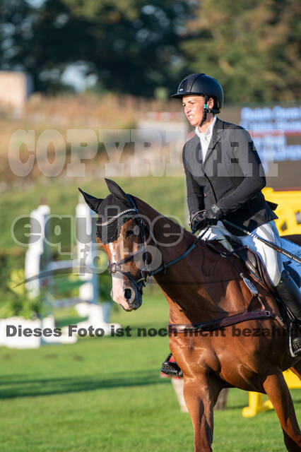 De Peelbergen (August 2020)