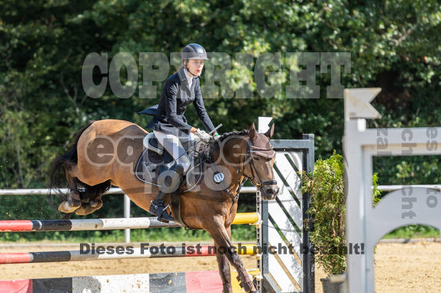 RFV Dinslaken-Hiesfeld (Herbstturnier)