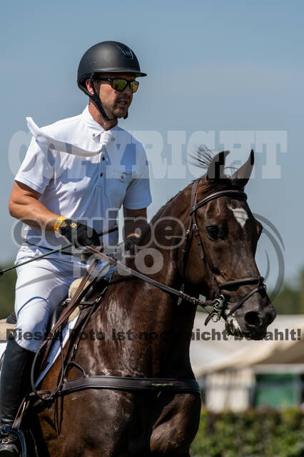 Kronenberg - De Peelbergen (August 2020)