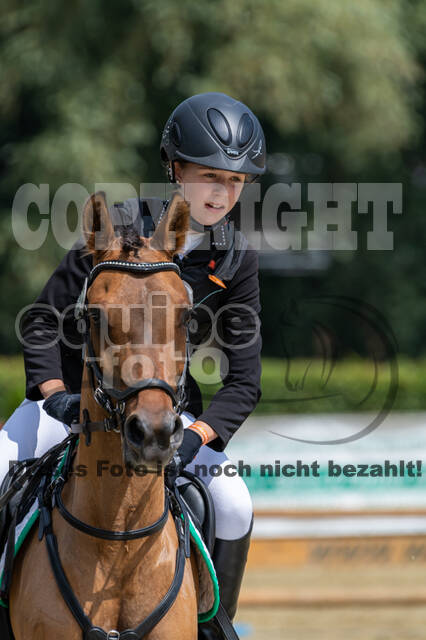 Goldene Schärpe 2021 - Ponys