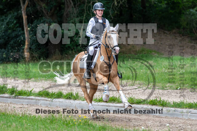 Late-Entry-Vielseitigkeit Langenfeld (06.+07.07.2020)