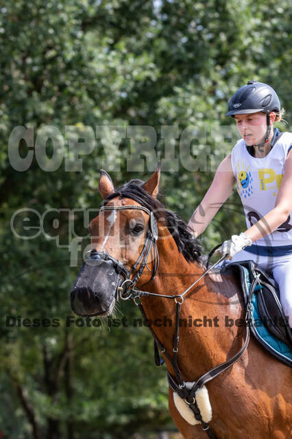 Late-Entry Vielseitigkeit Hamminkeln/Wesel (01.+02.08.2020)