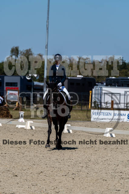 Kronenberg - De Peelbergen (August 2020)