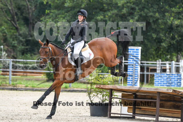 Late-Entry-Vielseitigkeit Langenfeld (11.+13./14.06.2020)