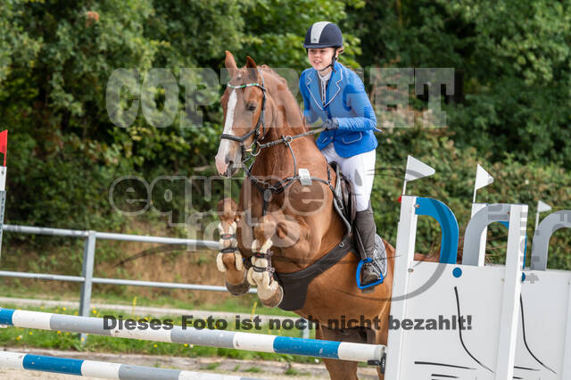 Late-Entry-Vielseitigkeit Langenfeld (06.+07.07.2020)