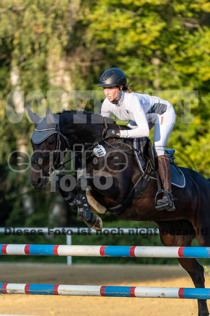 RFV Dinslaken-Hiesfeld (Herbstturnier)