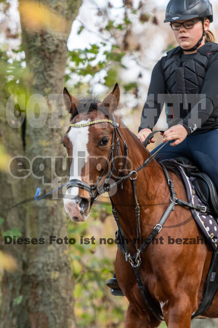 IGV Lehrgang der Sieger der Cups mit Frank Ostholt