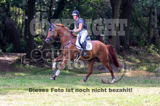 Late-Entry Vielseitigkeit Hamminkeln/Wesel (01.+02.08.2020)