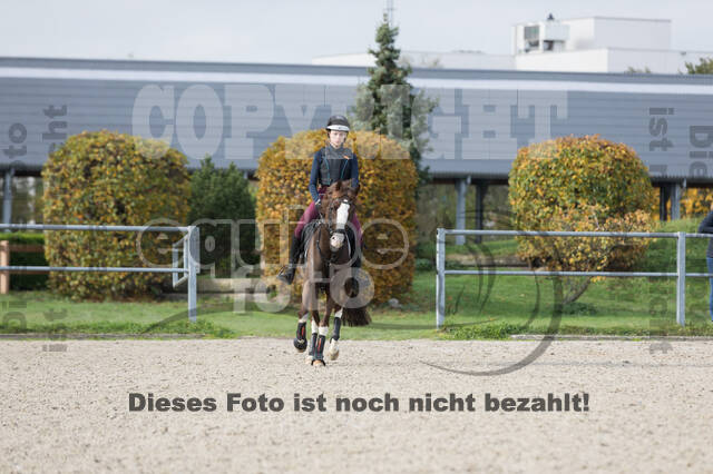 IGV Lehrgang der Sieger der Cups mit Frank Ostholt