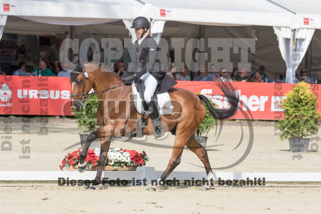 FEI European Championship Eventing 2017