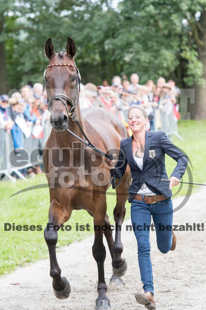 FEI European Championship Eventing 2017