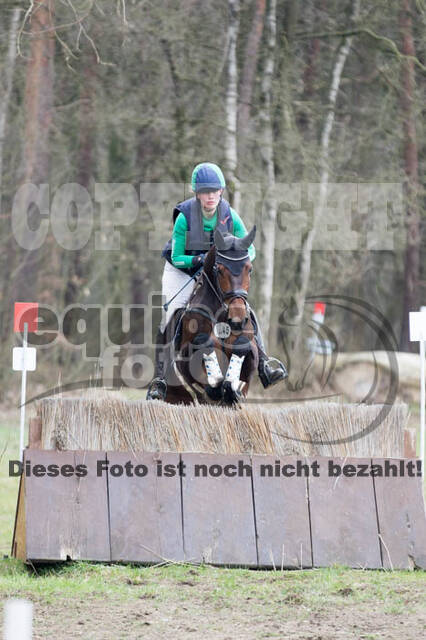 Jungpferdetag Hamminkeln