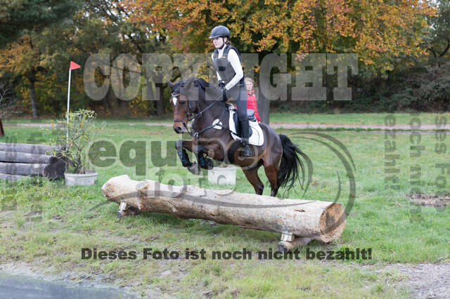 IGV Lehrgang der Sieger der Cups mit Frank Ostholt