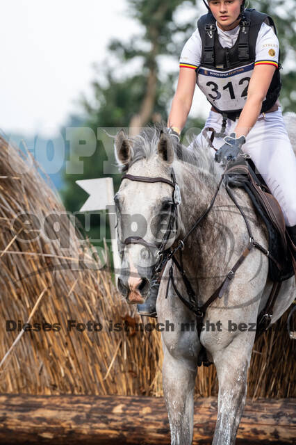 De Peelbergen (August 2020)