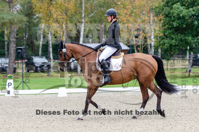 Deutsche Meisterschaft Vielseitigkeit (Luhmühlen)