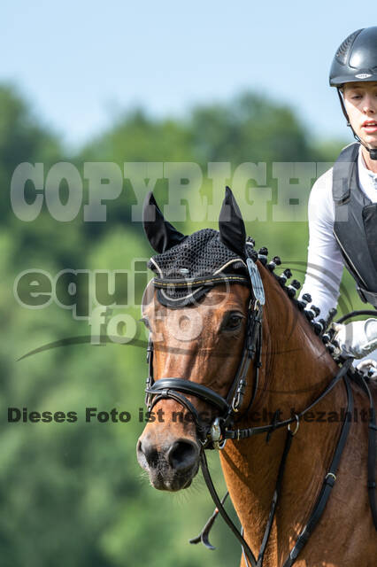 Goldene Schärpe 2021 - Ponys