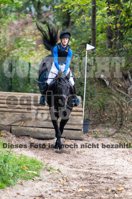 Goldene Schärpe 2020 - Pferde