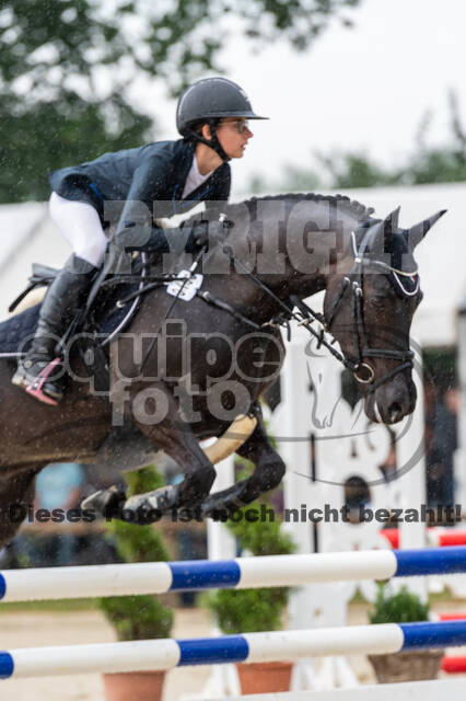 Goldene Schärpe 2021 - Ponys