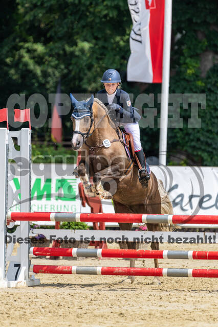 Goldene Schärpe 2021 - Ponys