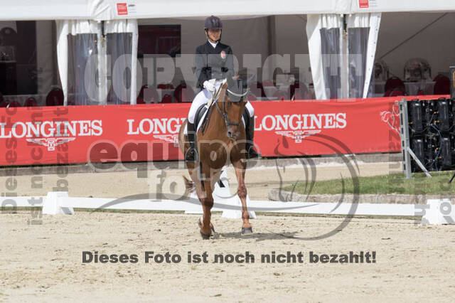 FEI European Championship Eventing 2017