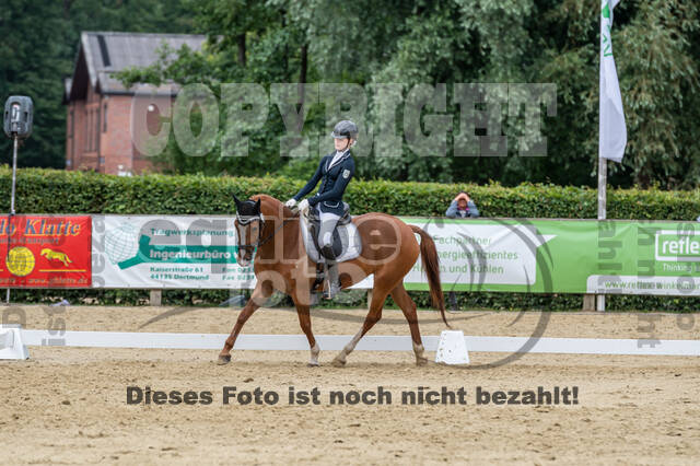 Goldene Schärpe 2021 - Ponys