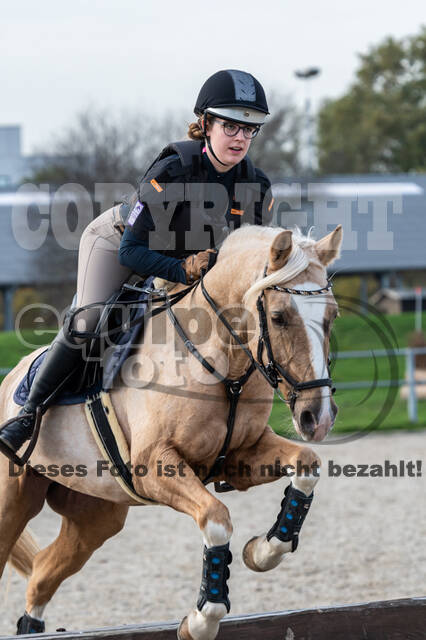 IGV Lehrgang der Sieger der Cups mit Frank Ostholt
