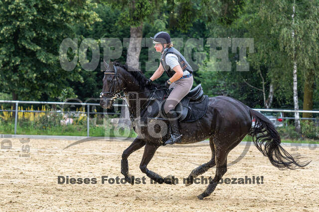 Hunter Geländetraining 10.07.2021 (Sonsbeck)