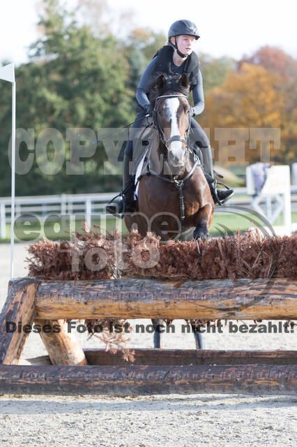 IGV Lehrgang der Sieger der Cups mit Frank Ostholt