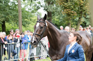 FEI European Championship