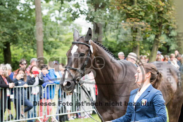 FEI European Championship