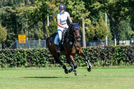 Kronenberg - De Peelbergen (August 2020)