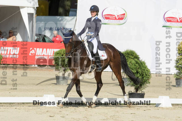 FEI European Championship Eventing 2017