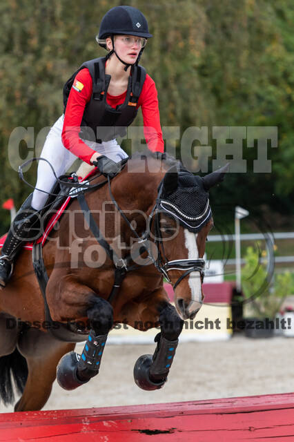 Goldene Schärpe 2020 - Pferde