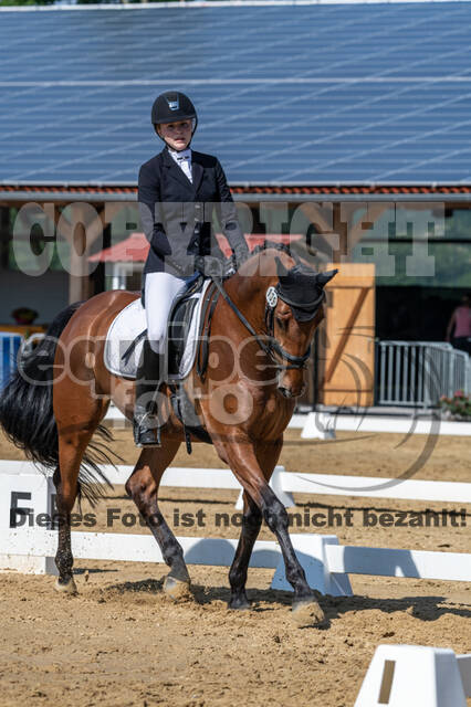 Westerstede Horse Trials 2021