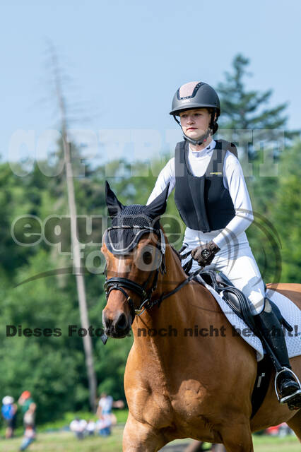 Goldene Schärpe 2021 - Ponys