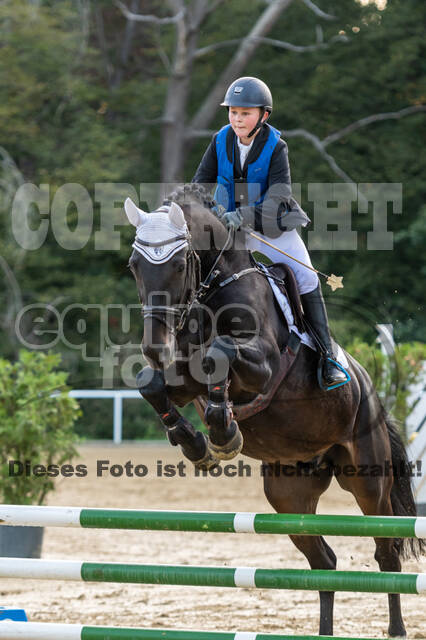 RFV Dinslaken-Hiesfeld (Herbstturnier)