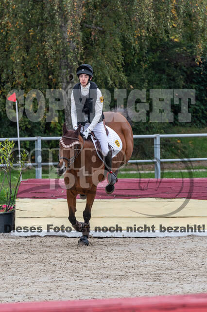 Goldene Schärpe 2020 - Pferde