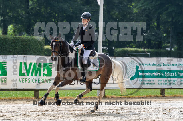 Goldene Schärpe 2021 - Ponys