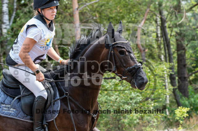 Late-Entry Vielseitigkeit Hamminkeln/Wesel (01.+02.08.2020)