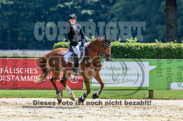 Goldene Schärpe 2021 - Ponys