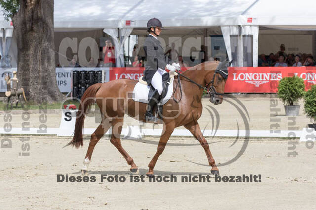 FEI European Championship Eventing 2017