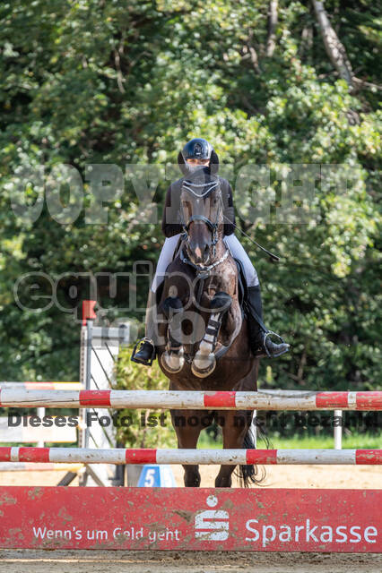 RFV Dinslaken-Hiesfeld (Herbstturnier)