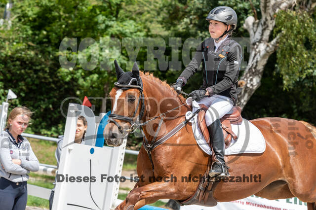 Late-Entry-Vielseitigkeit Langenfeld (06.+07.07.2020)