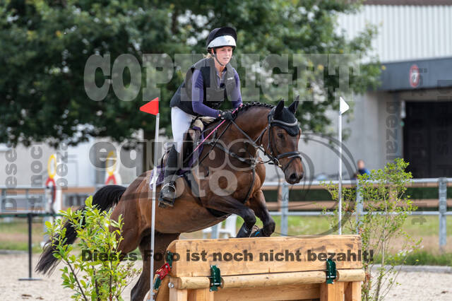 Late-Entry-Vielseitigkeit Langenfeld (06.+07.07.2020)