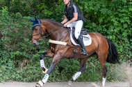 Late-Entry-Vielseitigkeit Langenfeld (11.+13./14.06.2020)