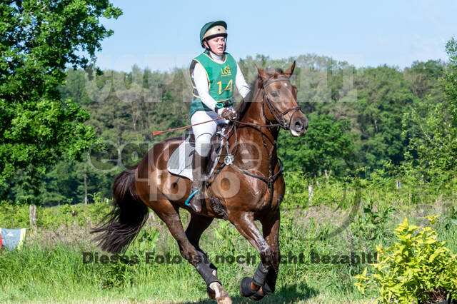 Westerstede Horse Trials (10.-13.06.2021)