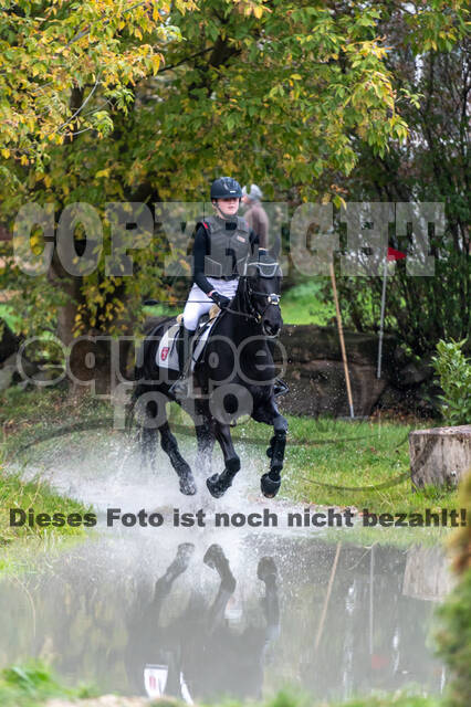 Goldene Schärpe 2020 - Pferde