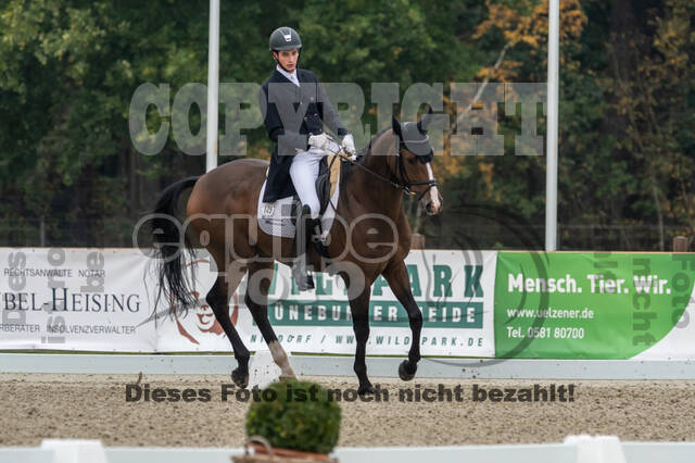 Deutsche Meisterschaft Vielseitigkeit (Luhmühlen)